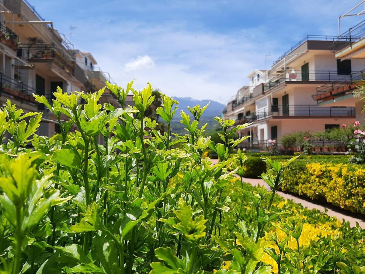 شقة Al Giardino Sant'Anna ماسكالي المظهر الخارجي الصورة