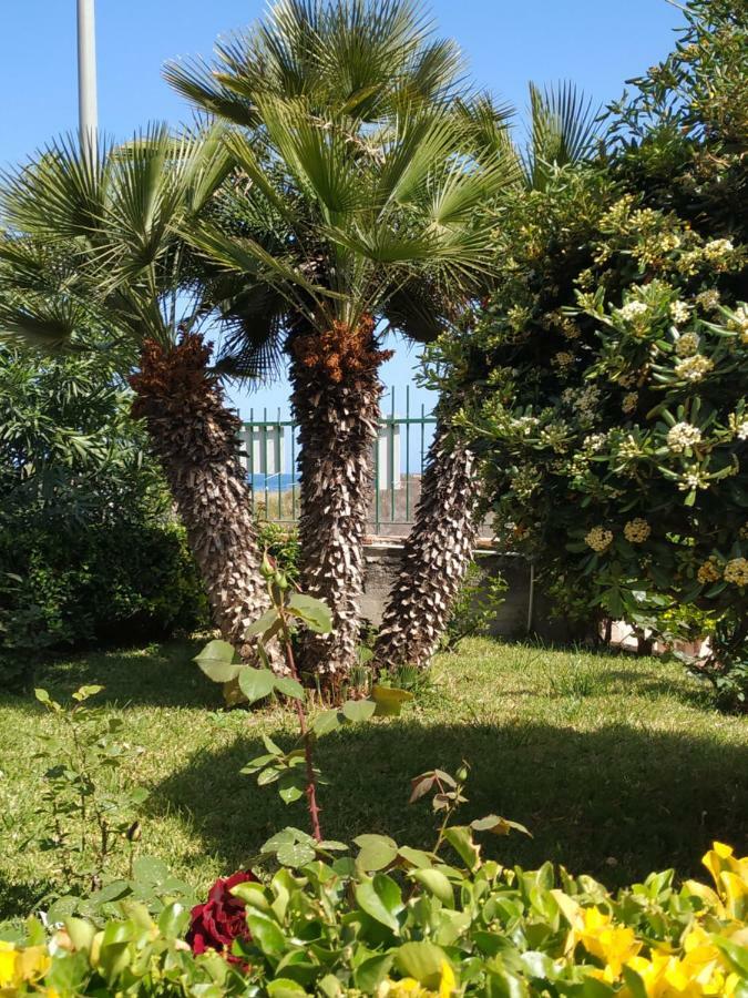 شقة Al Giardino Sant'Anna ماسكالي المظهر الخارجي الصورة